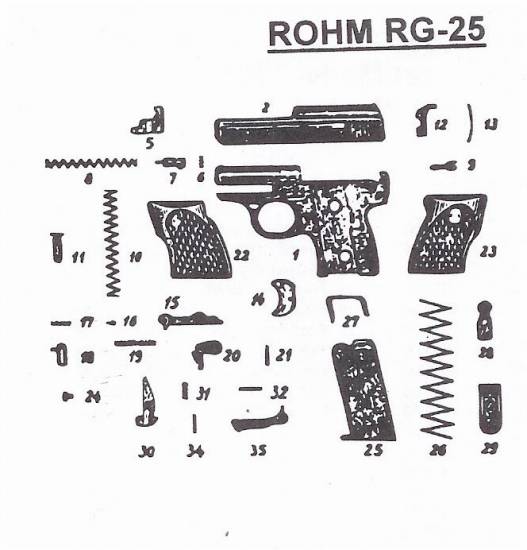 Rohm RG-25 Automatic .25