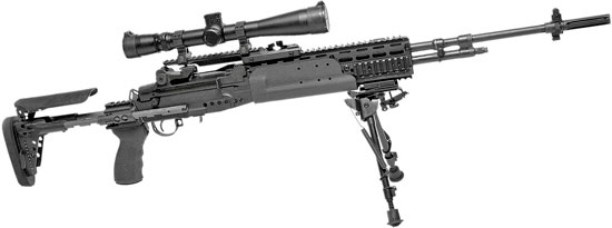 Mark 14 Enhanced Battle Rifles