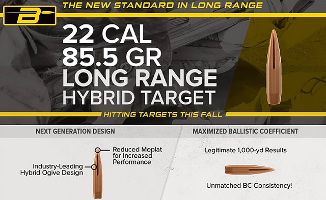 Berger .22 Long Range Hybrid Target