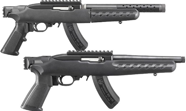 Ruger 22 Charger