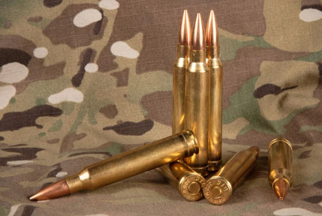 .300 Winchester Magnum / 7,62х67