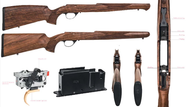 Anschutz Model
1782