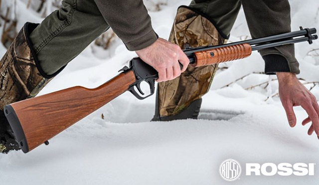 Rossi Gallery 22LR