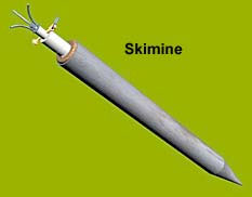 Skimine
