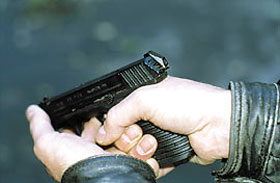 http://weaponland.ru/images/statyi/pistolet-2/P-96C-6.jpg