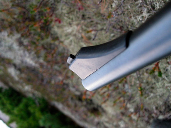 Blaser R93