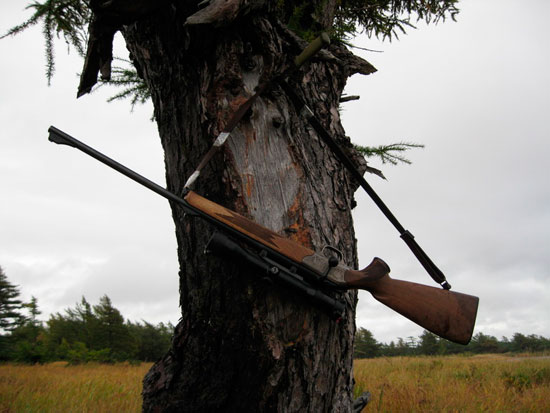 Blaser R93