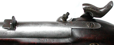 Вид на целик и курок Brunswick rifle