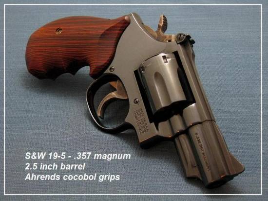 S&W 19-5 - .357 magnum