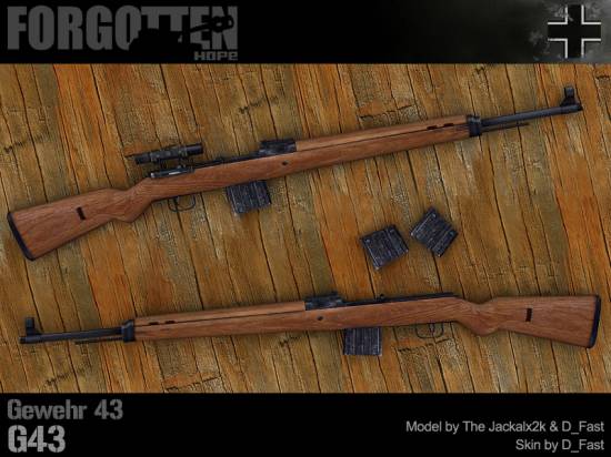Gewehr 43 / G43