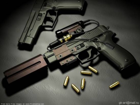 SIG SAUER (with body kit)