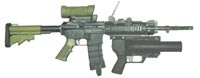 Штурмовая винтовка серии Diemaco C7 / C8