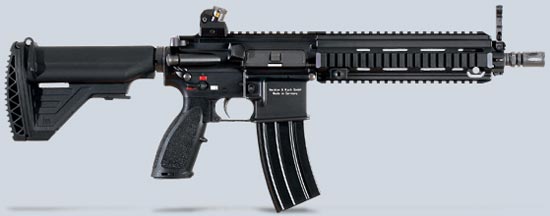 HK416 D10RS