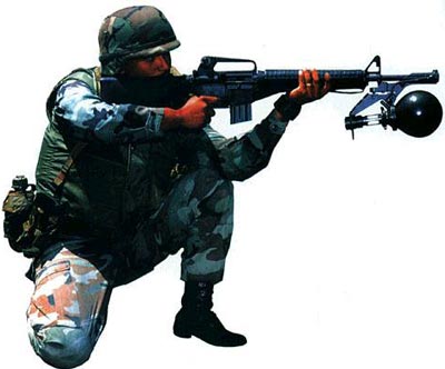 RAW установленный на винтовке М16