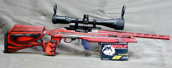 Custom Ruger 10/22 Rifle