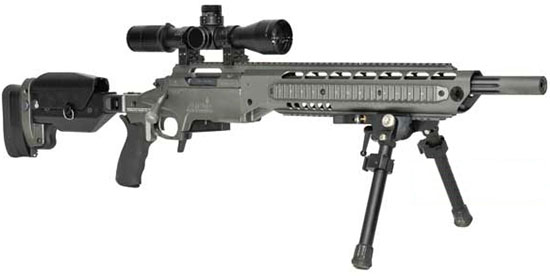 Ashbury SPR-308 Precision Rifle