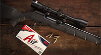 Savage Arms A17