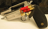 Taurus Judge