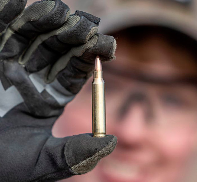 TRG Sport .223 Remington