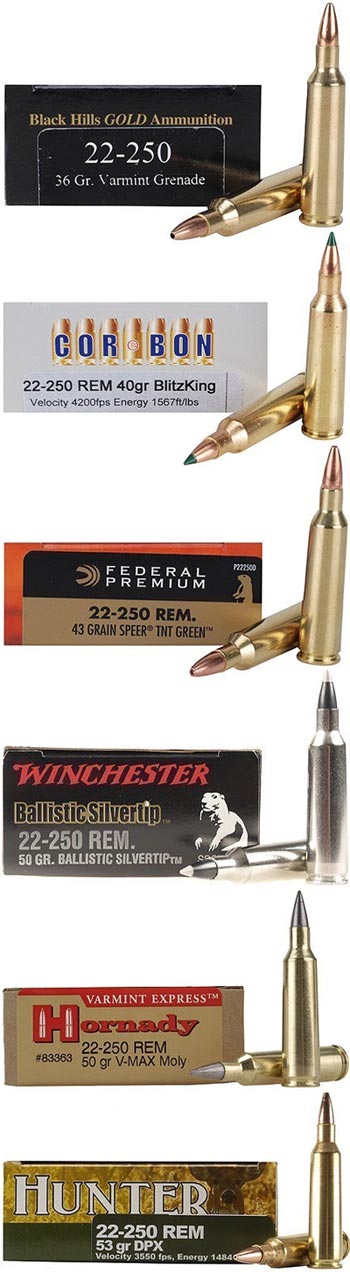 .22-250 Remington