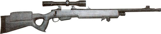 Beretta 501 sniper