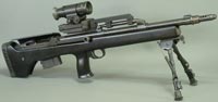 Снайперская винтовка TEI M89 SR