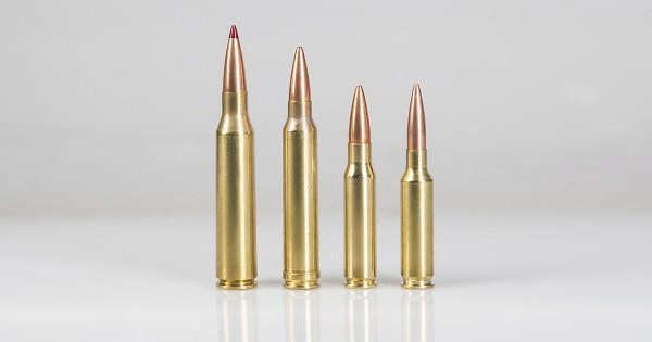 Патроны для стрельбы на большие дистанции: .338 Lapua Magnum, .300 Winchester Magnum, .308 Winchester, 6,5 Creedmoor